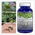 Ex-Stock Herb Medicine Healthcare Supplement Tribulus Terrestris Capsules